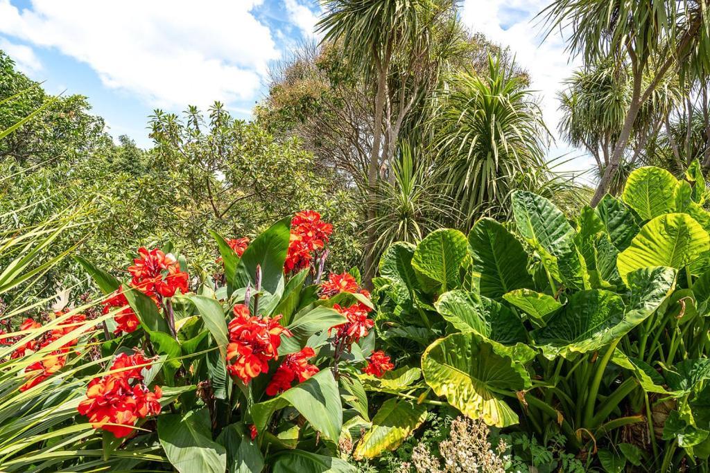 Oneroa Bay Villa Waiheke Екстериор снимка