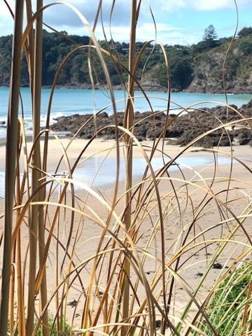 Oneroa Bay Villa Waiheke Екстериор снимка