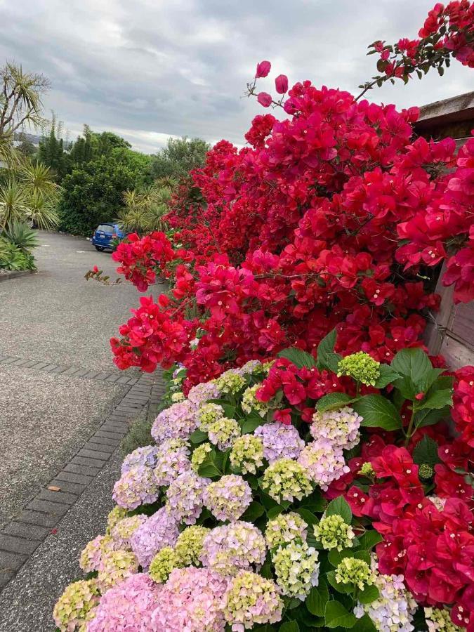Oneroa Bay Villa Waiheke Екстериор снимка